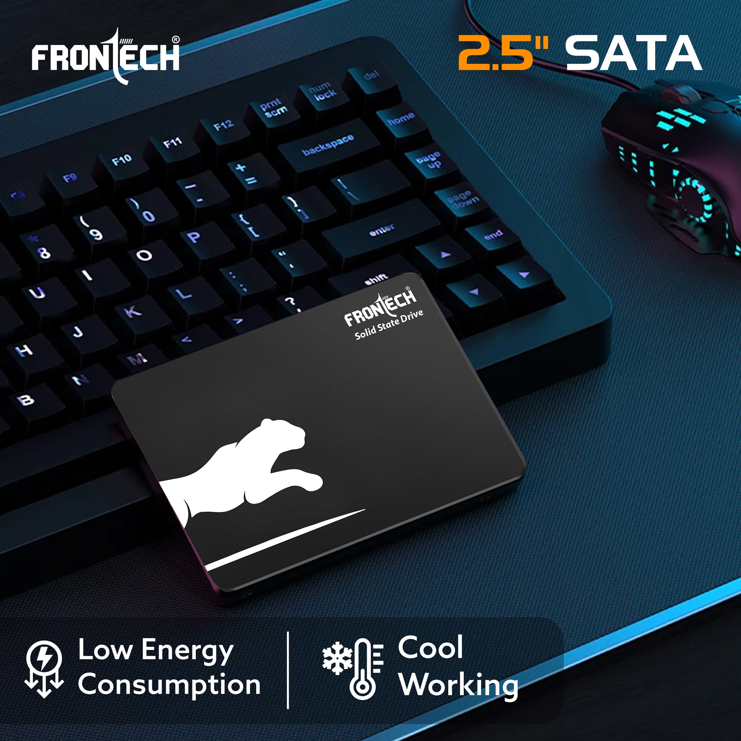 256GB Internal SSD, 2.5 SATA3, TLC+SMI (SSD-0053)