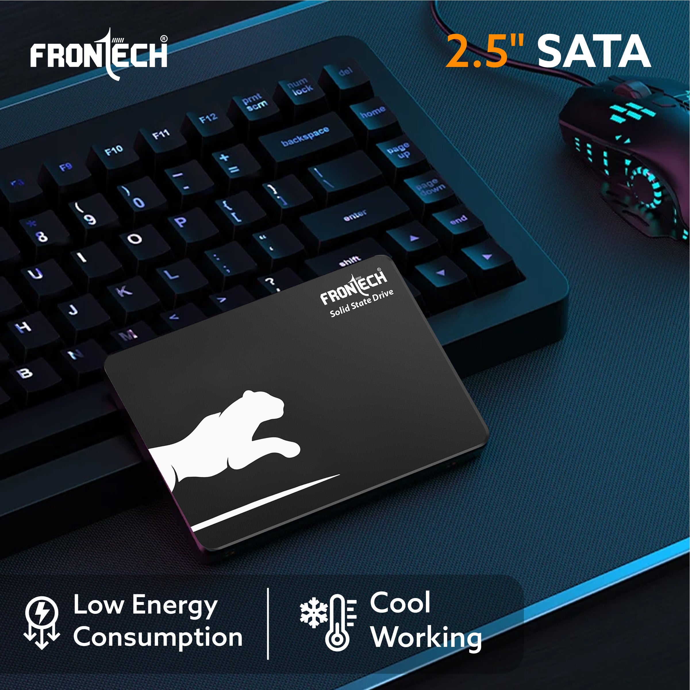 2.5 SATA III Internal SSD 256GB (SSD-0027)